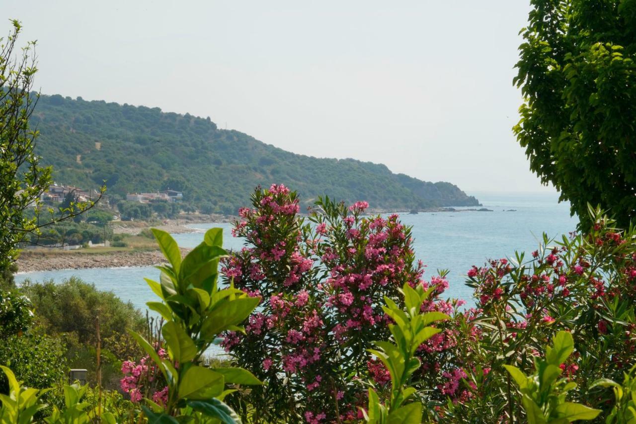 Secret Paradise Villas Loutra Elevtheron Zewnętrze zdjęcie